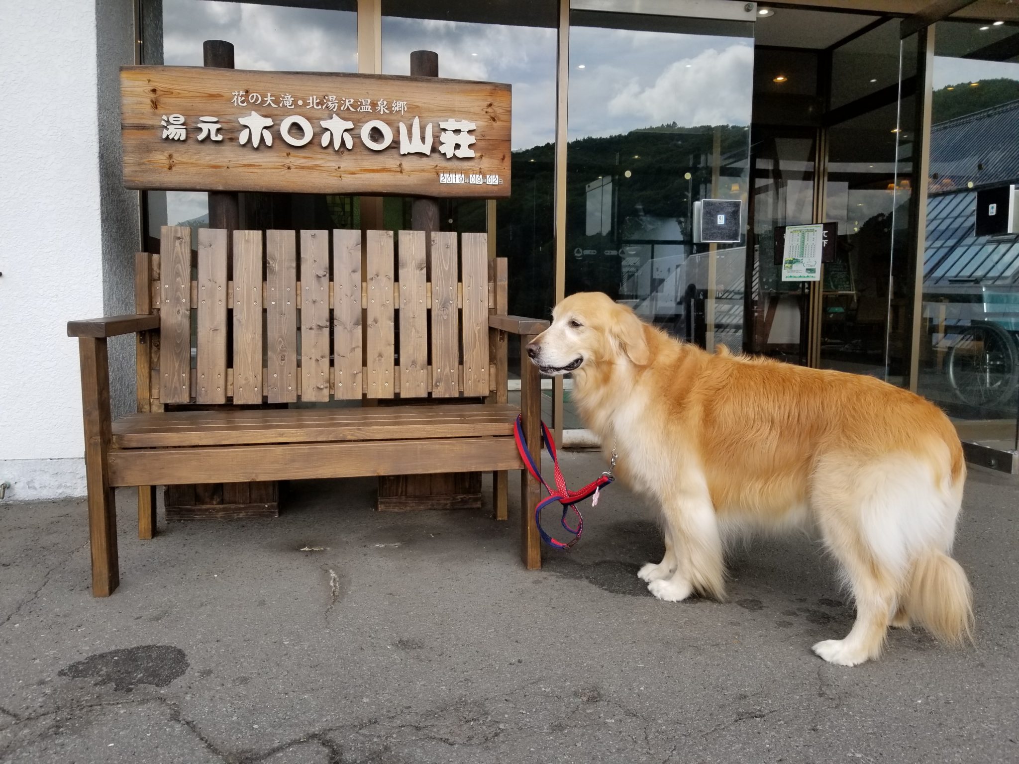 大型 犬 と 泊まれる 宿 北海道
