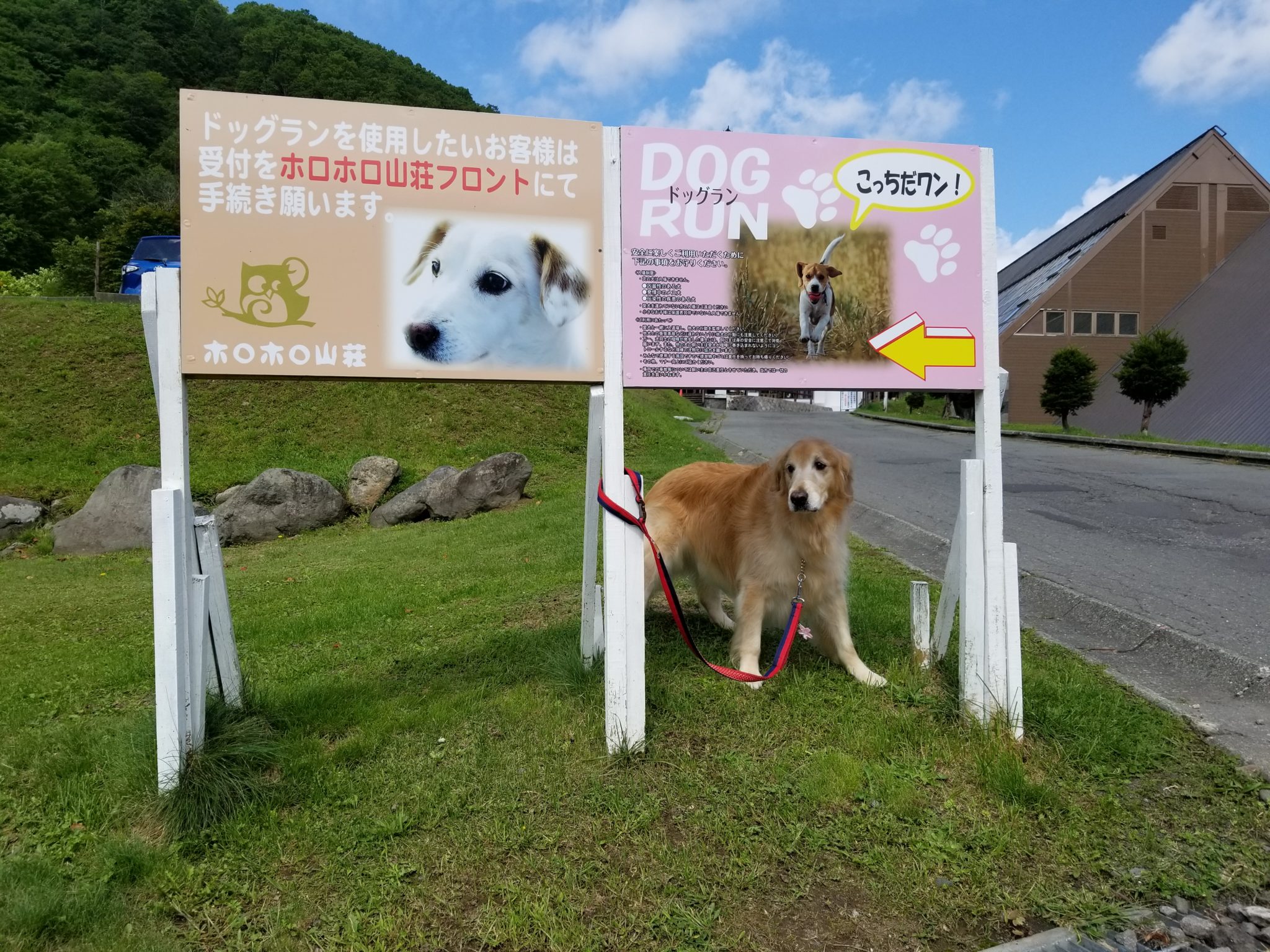 大型 犬 と 泊まれる 宿 北海道